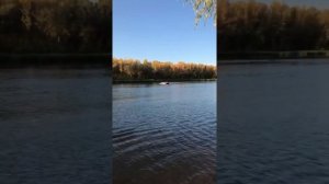 Лодка Орка 340 нднд + HDX 9.8