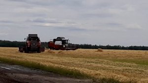 Комбайны VECTOR 410