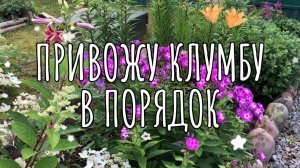 Привожу в порядок клумбу перед домом