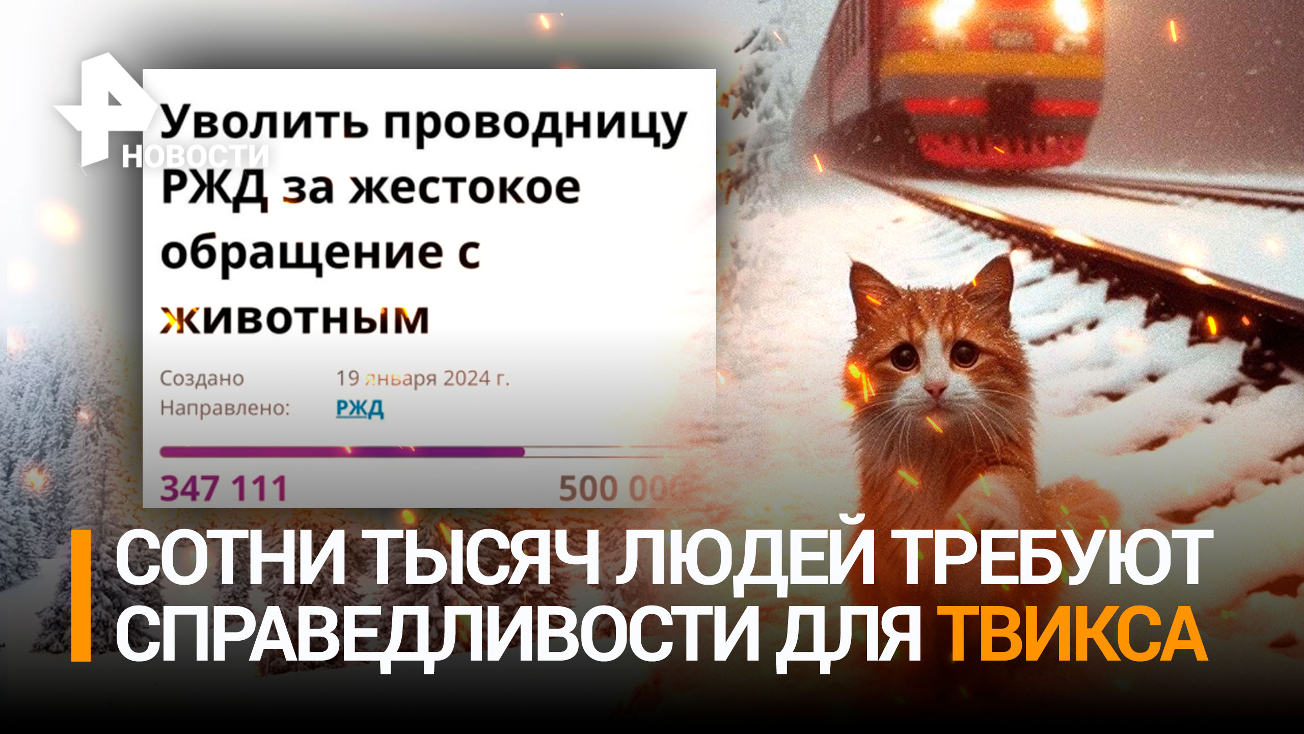350 тысяч россиян требуют уволить проводницу, выкинувшую кота Твикса из поезда / РЕН Новости