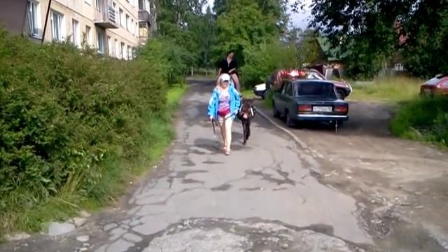 Наездницы