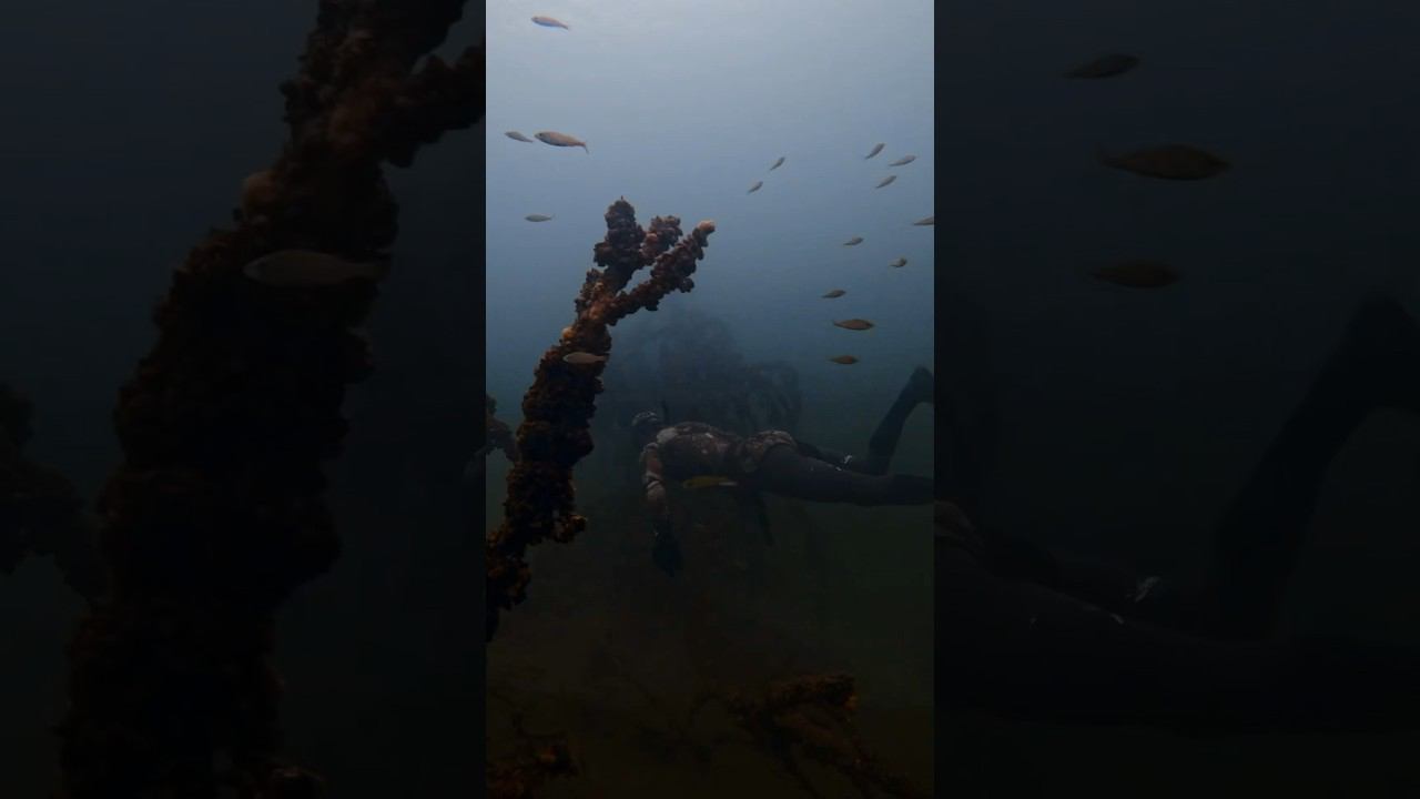 Таинственный озерный фридайвинг #freediving #lake смотреть онлайн