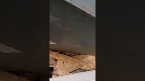 Евролос ПРО до сервисного обслуживания