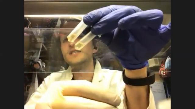 ЭКСКУРСИЯ «МИКРОБИОЛОГИЧЕСКАЯ ЛАБОРАТОРИЯ И КАК В НЕЙ РАБОТАТЬ» смотреть онлайн