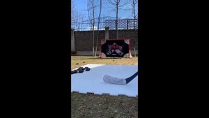 Домашняя бросковая зона