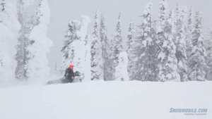 2014 Ski-Doo Freeride 800