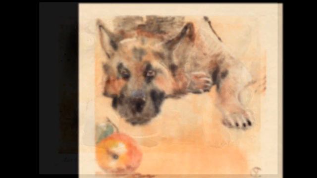 Очень домашнее животное. смотреть онлайн