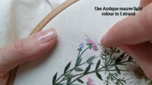 Botanical embroidery for beginners. How to embroidery the field scabious. Вышиваем короставник.