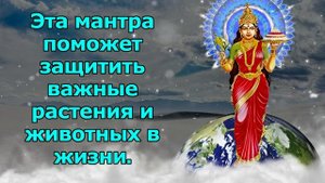 Эта мантра поможет защитить важные растения и животных в жизни
