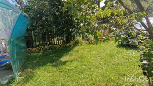Дачные заботы, 20.07.24