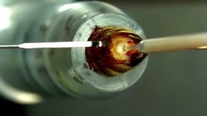 Инструментальное осеменение пчелиных маток со Сьюзан Кобей