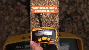 Обзор металлоискателя GARRETT ACE 150