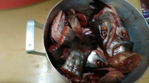 Солим и коптим головы красной  рыбы.