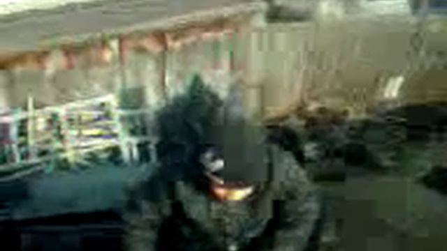 Ну что ты братишка прикинь. Прикол смотреть онлайн