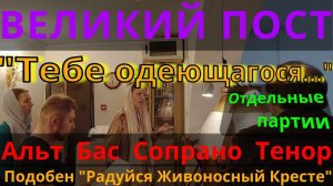 "Тебе одеющагося". Подобен "Радуйся, Живоносный Кресте". Альт, Бас, Сопрано, Тенор. Пассия