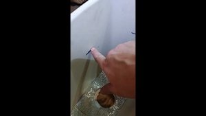 Утепляем сливной бак унитаза