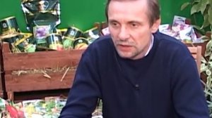 Бывает ли морковь без сердцевины?