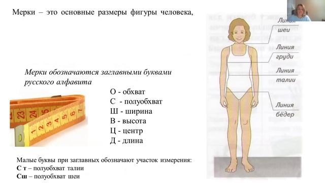Технология.Тема 3. Общие понятия о конструировании и моделировании одежды