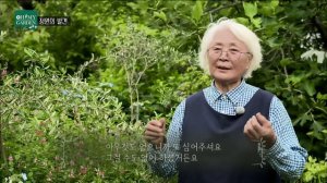 [ SUB ] 나이를 잊은 할머니의 정원 For Gardener, Age is Just a Number | 정원의 발견 Wonders of Garden|KBS제주20230623방