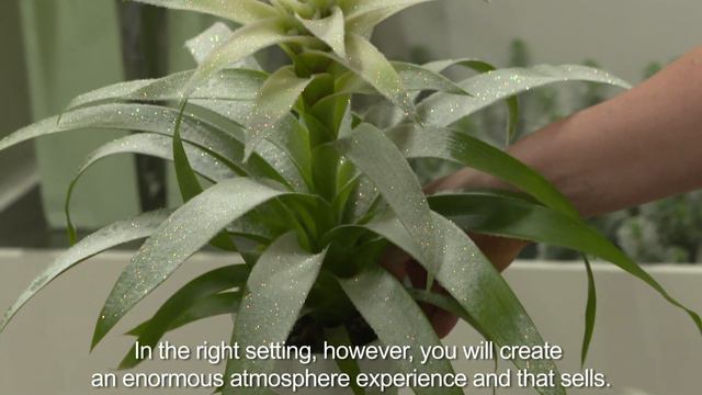 Bromelia Specialist Trendfair - More Store More Value (EN) смотреть онлайн