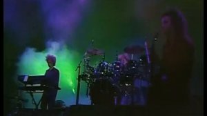 The CuRe - A Forest Leipzig