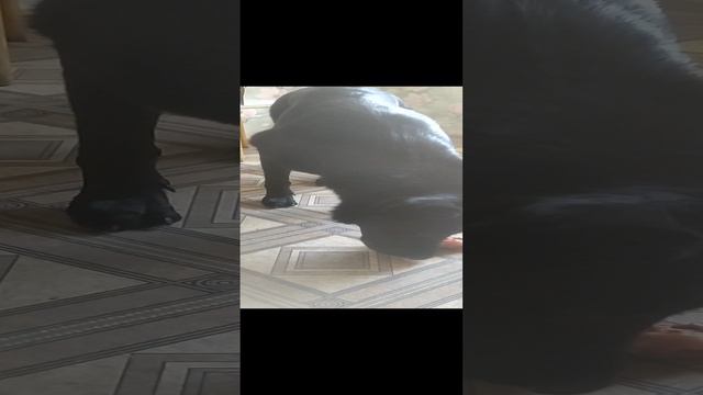 VID_20240901_144759.mp4 смотреть онлайн