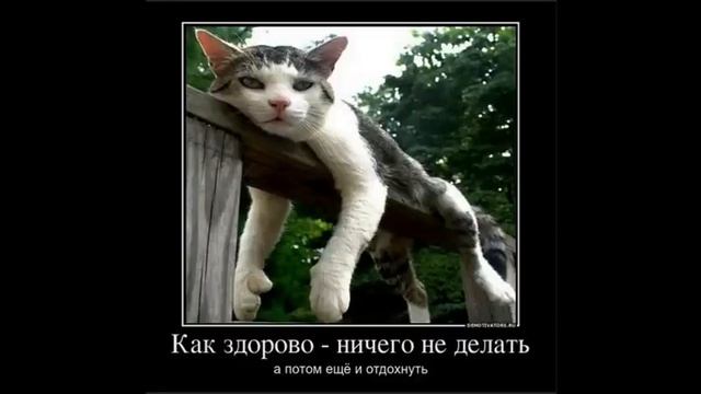смешные и прикольные картинки
