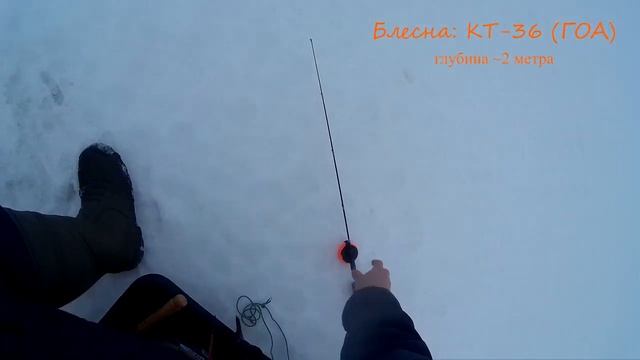 Блесна КТ-36 от ГОА. Ловля окуня зимой.