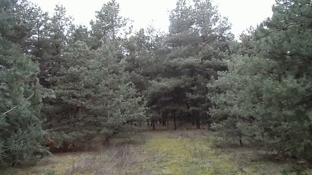 6 декабря народный праздник МИТРОФАНОВ ДЕНЬ. ДЕНЬ ПАМЯТИ АЛЕКСАНДРА НЕВСКОГО. народные традиции