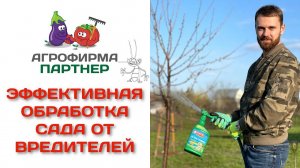 Эффективная обработка сада от вредителей