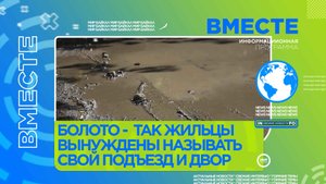 Болото – настоящее болото