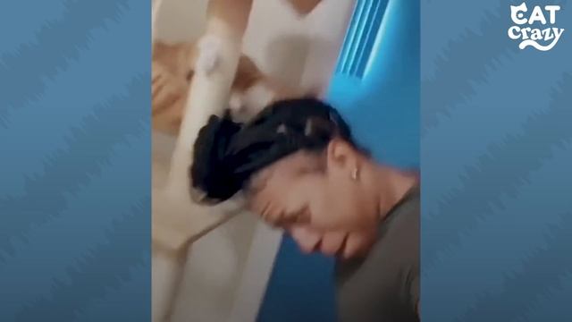 Kitten Hunts His Mom Every Single Day | The Dodo Cat Crazy смотреть онлайн