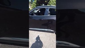 хавал ф 7х от владельца