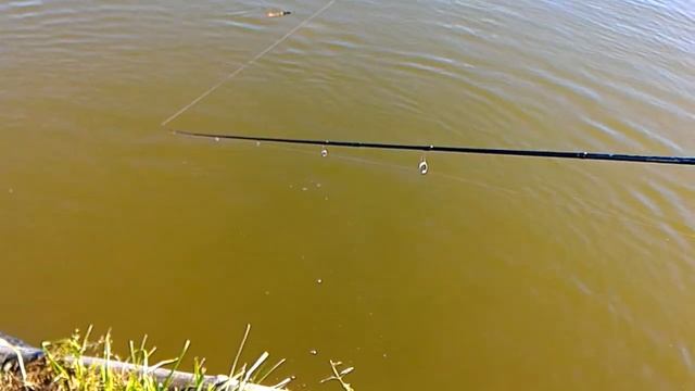 Рыбалка в Гжелке, ловим форель смотреть онлайн