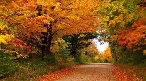 Алла Пугачёва. Осенние листья