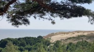 БЕЗ РЕЗИНЫ НАПОЛНИЛ ЕЁ СВЯТОЕ МЕСТО. Истории из жизни. Аудио рассказы, неверная жена