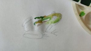 Как нарисовать лягушку акварелью. Мастер-класс//Short tutorial: how to draw a frog with watercolor