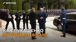 Лимузин, фанфары и красная дорожка: Алиев встретил Лукашенко в Баку