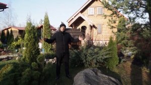 Газгольдер на участке портит внешний вид | Как замаскировать газгольдер