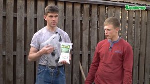 Посадка баклажан. Удобрения для супер урожая!!!