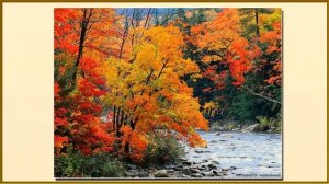 Картинки для детей золотая осень  Осень в картинках