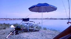 Убойный клев (Уловистая каша на Толстолоба)