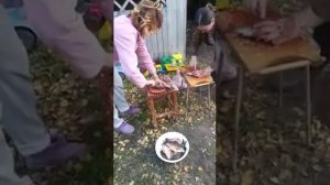 Чистим живого карася