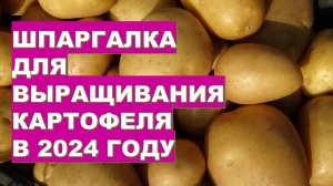 Шпаргалка для тех, кто будет выращивать картофель в 2024 году Potato growing technology in 2024