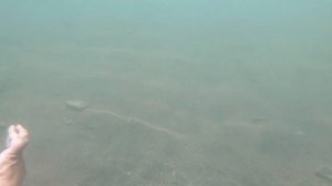 Озеро Иткуль/Хакасия/Отдых у друга на пляже/Подводная съемка