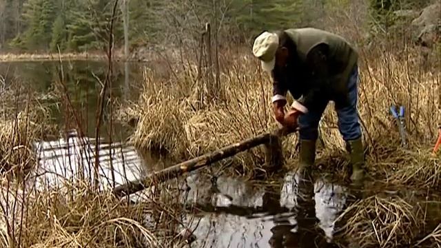 3. Добыча бобра 1 — Открытая вода (Eng) смотреть онлайн