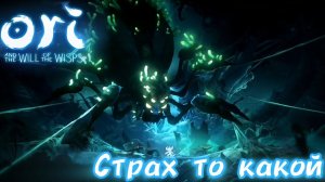 СТРАШИЛИЩА КАКАЯ [Ori and the will of the Wisps]