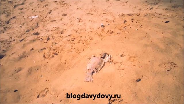 Пляж Тангале начало 2(Tangalle beach) февраль 2015 смотреть онлайн