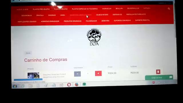 Como Aproveitar As Orquídeas Em Promoção Por 1 REAL смотреть онлайн