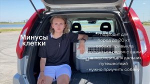 Как безопасно перевозить собаку в машине? 3 безопасных способа перевозки в этом видео